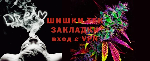 ПСИЛОЦИБИНОВЫЕ ГРИБЫ Краснотурьинск