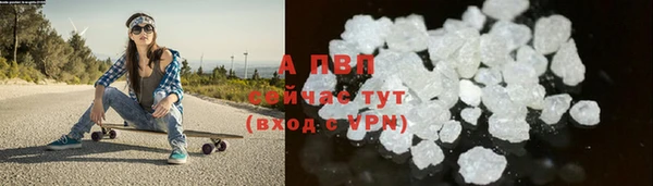 стаф Белоозёрский