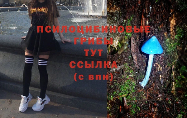 каннабис Богородицк