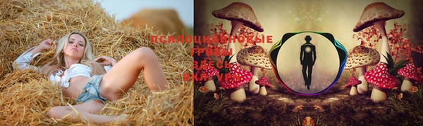 стаф Беломорск