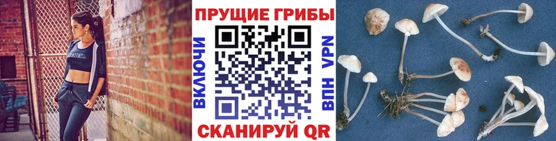 сколько стоит  Бугульма  omg вход  Галлюциногенные грибы прущие грибы 